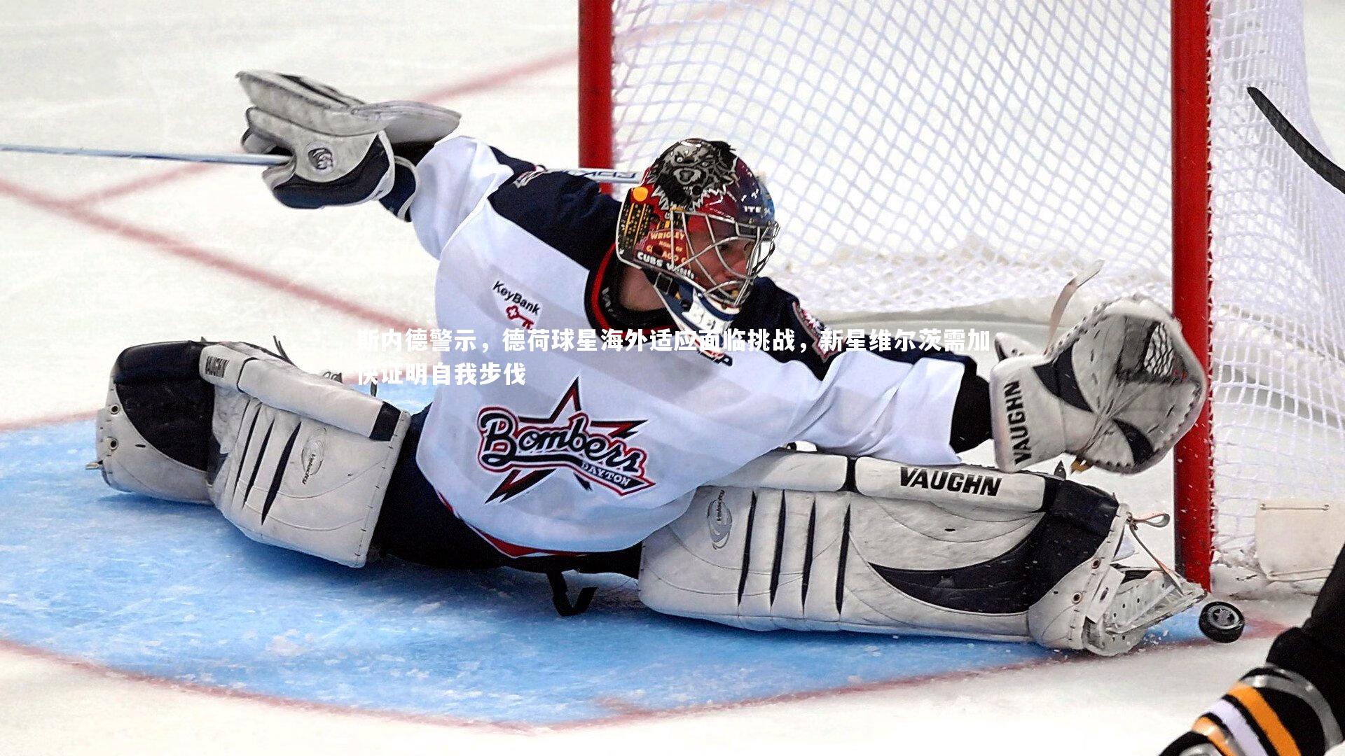 斯内德警示，德荷球星海外适应面临挑战，新星维尔茨需加快证明自我步伐